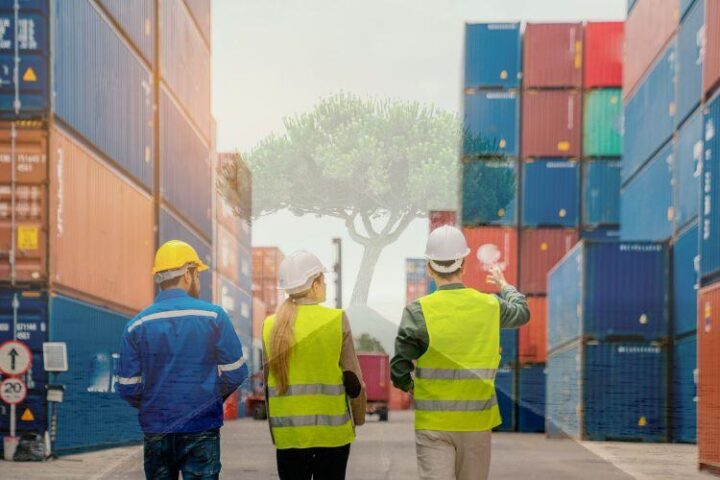 professionnels de la supply chain entourées de conteneur